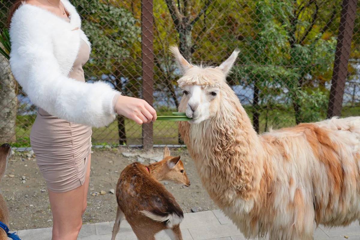 秒變在地人、入住就開玩！５家「定點深度玩」旅宿，投票送你環島住１年