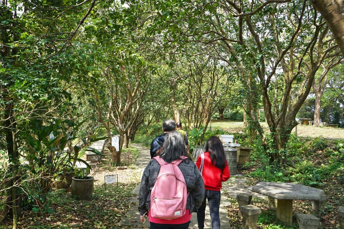 北海岸「綠色無毒」養蜂農場！無農藥養出純淨蜂蜜，更年年榮獲國家安全認證