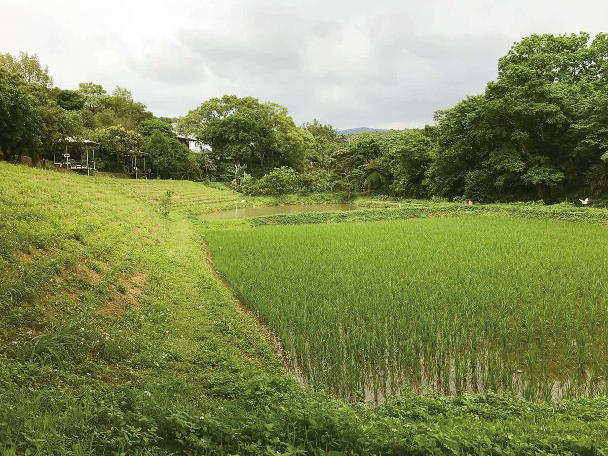 北海岸「綠色無毒」養蜂農場！無農藥養出純淨蜂蜜，更年年榮獲國家安全認證