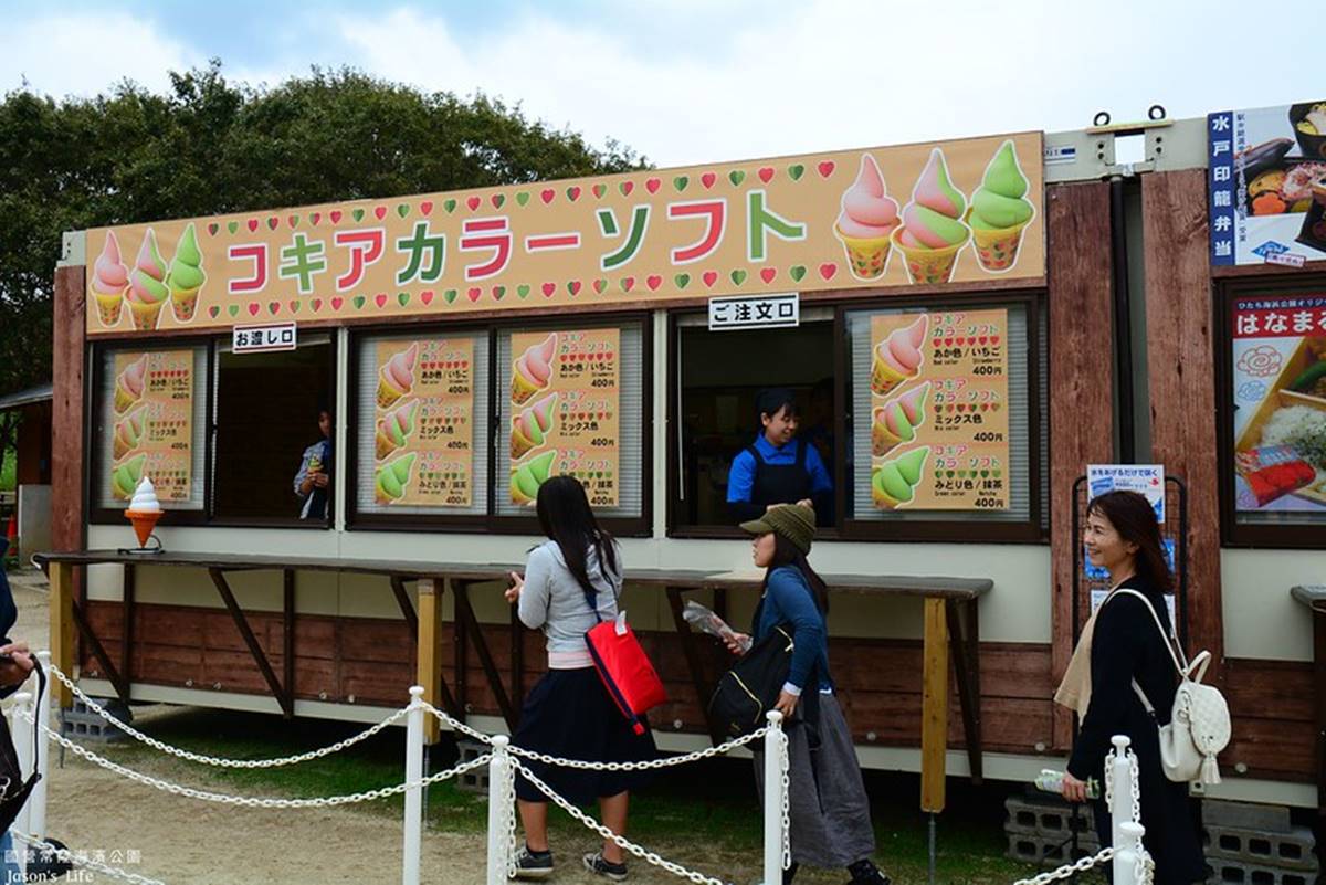 秋季限定「毛絨絨美景」！萬坪祕境公園打卡「千株波波草」，整片紅通通拍到飽