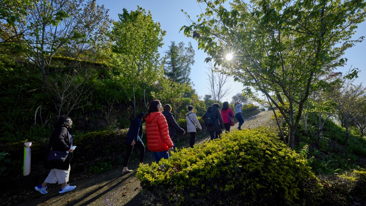 把樂園搬進飯店、坐擁湖景第一排！盤點６間特色旅宿，免費送你住宿券