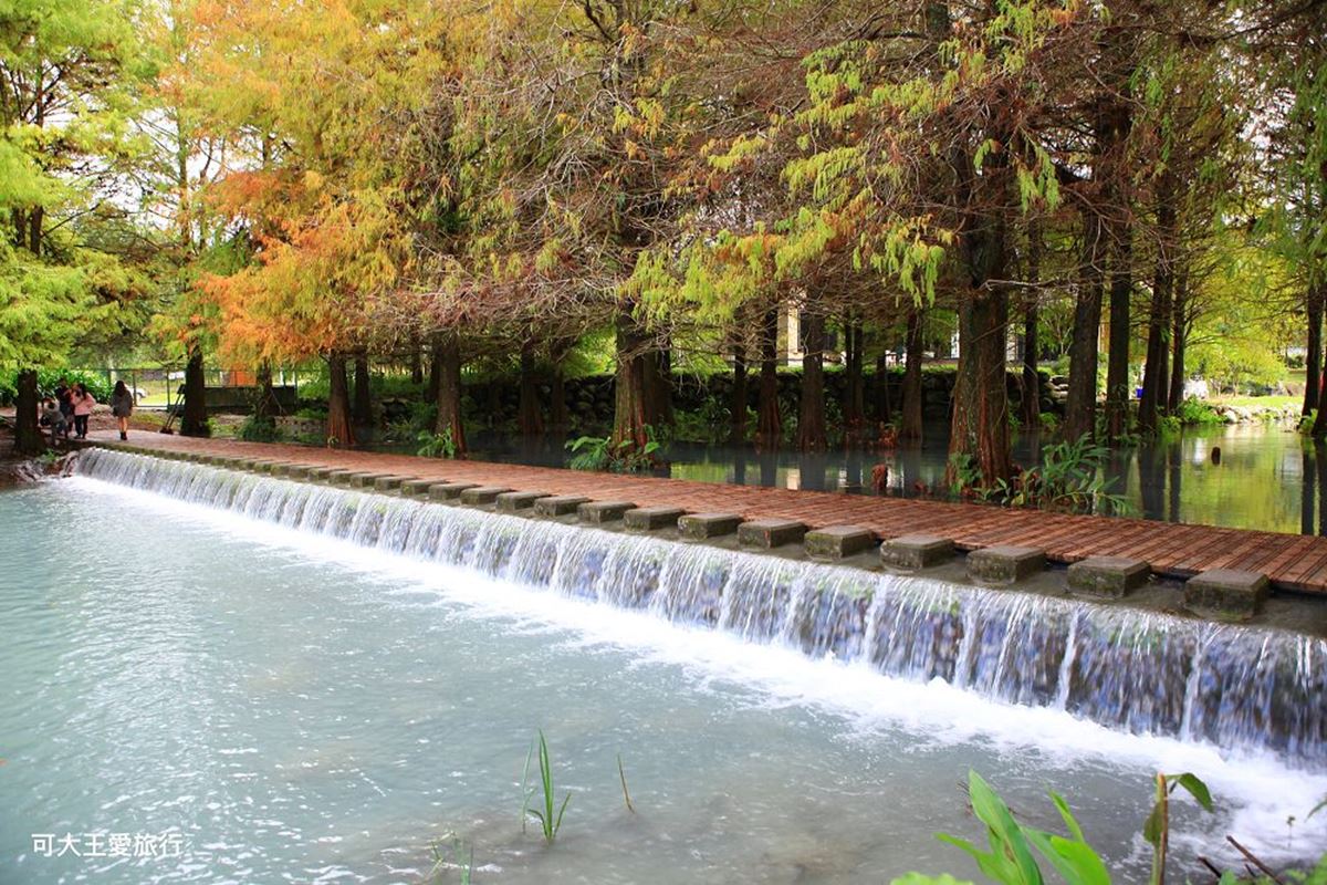 「雲山水夢幻湖」遊園攻略！落羽松祕境、跳石瀑布必打卡，門票、住宿一次看