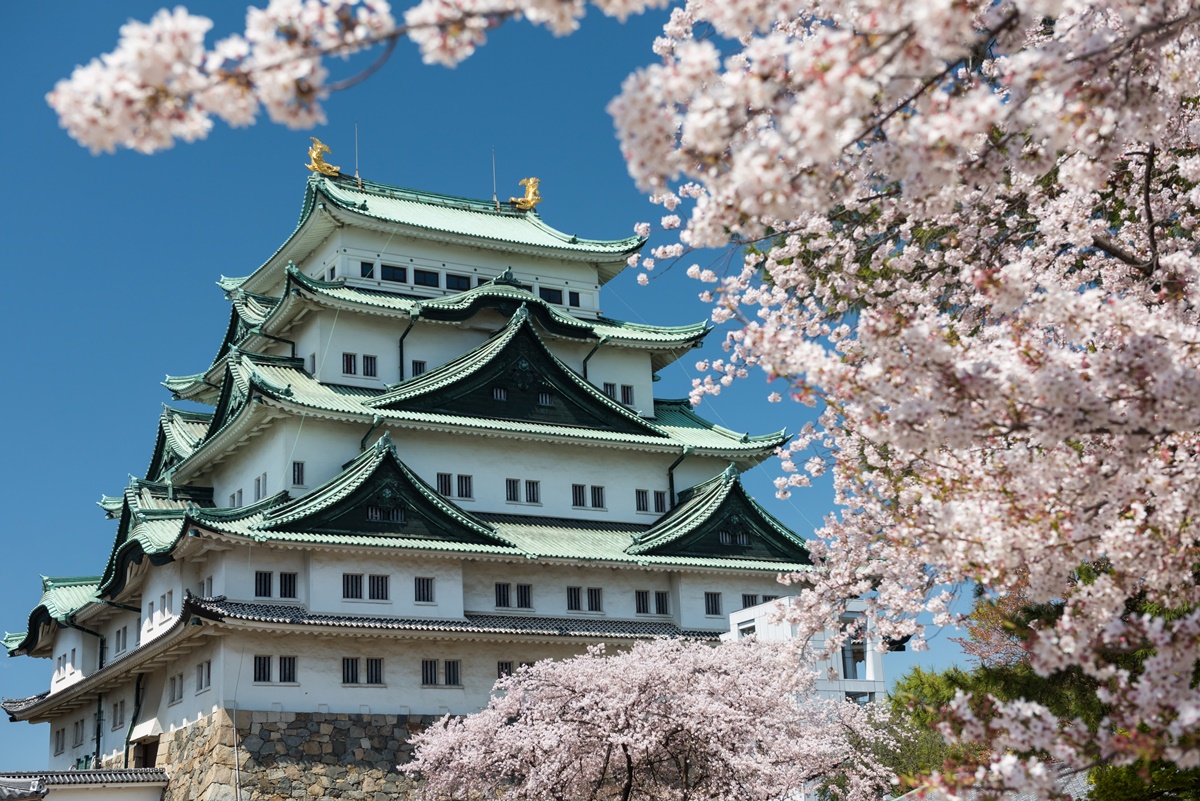 星宇全線85折！４大航空線上旅展優惠，國泰飛東京２人打８折