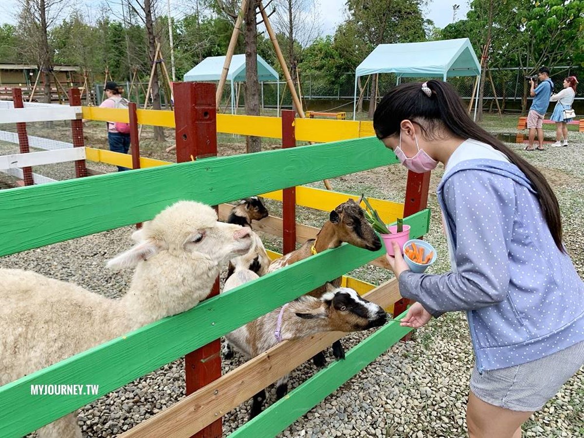 兒童只要150元！嘉義全新「萌寵親子農場」開放，免費餵動物、玩遊樂設施