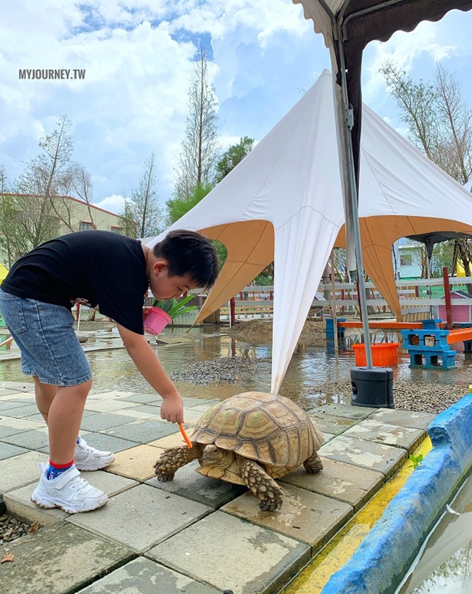 兒童只要150元！嘉義全新「萌寵親子農場」開放，免費餵動物、玩遊樂設施