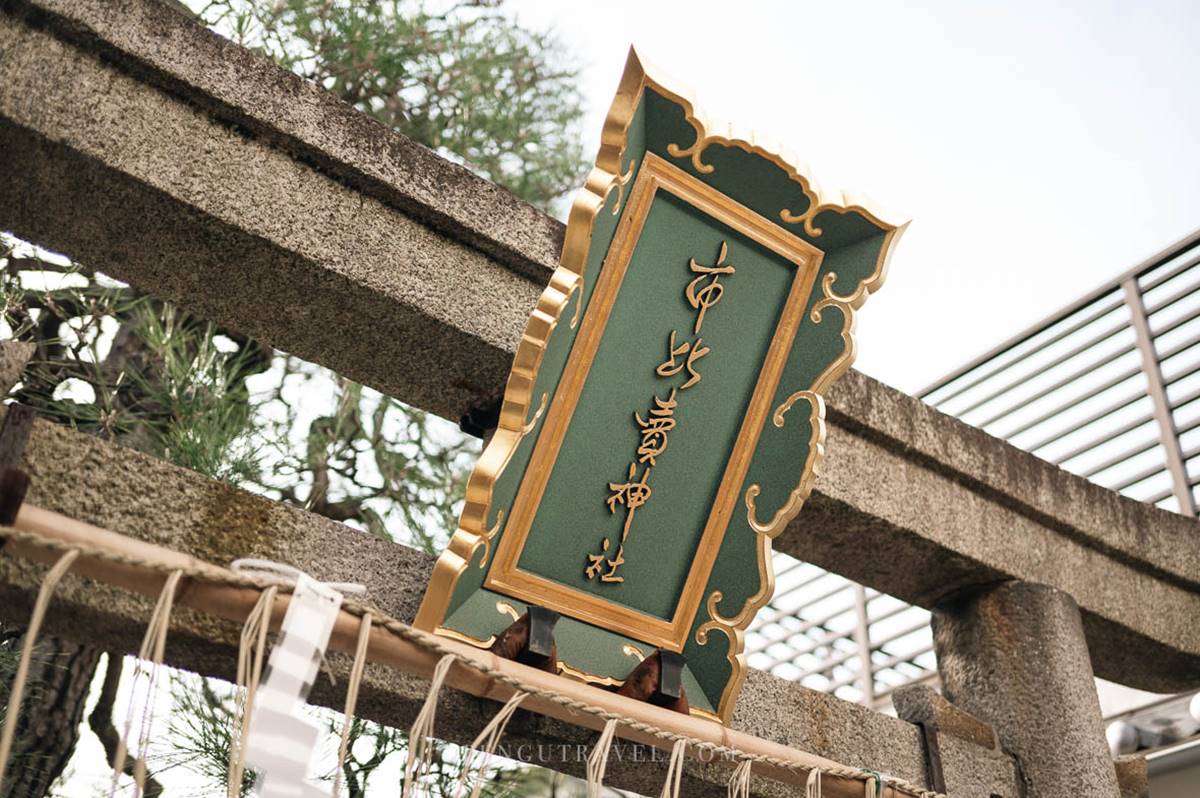 女性專屬守護神！京都最強「女神神社」，社內「神奇井水」喝下願望就成真