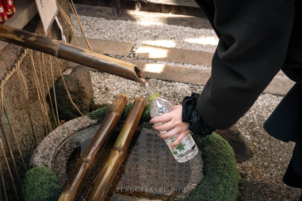 女性專屬守護神！京都最強「女神神社」，社內「神奇井水」喝下願望就成真