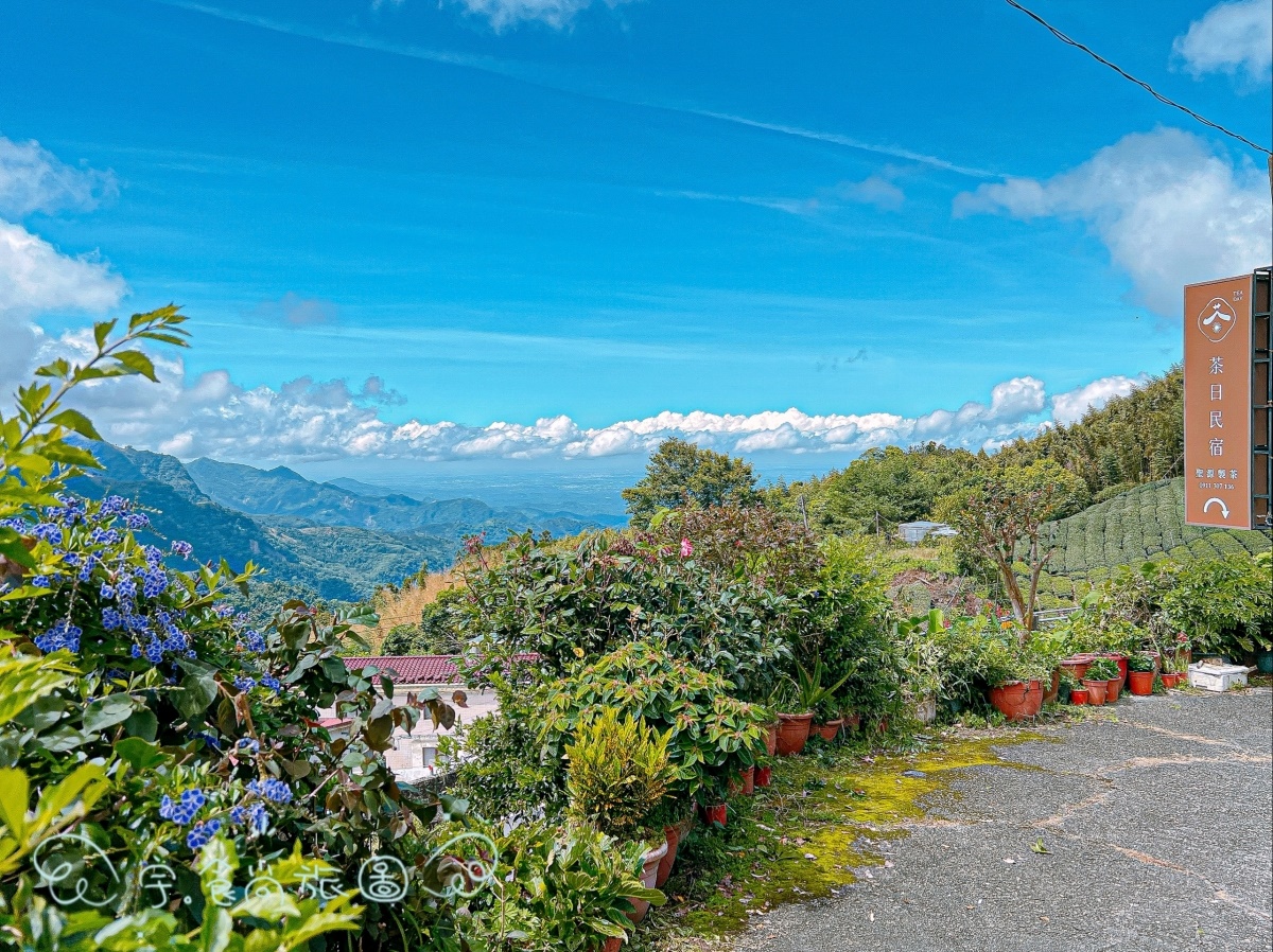 雲海茶園無敵窗景！阿里山新祕境民宿，品茗還能「指點人生」