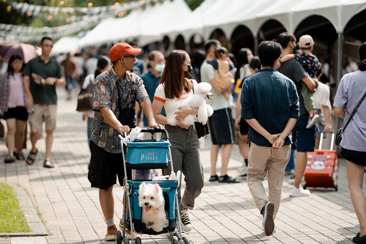 免費開逛！年末最大「毛孩專屬市集」快閃２天，開逛80家攤位、人寵共享美食