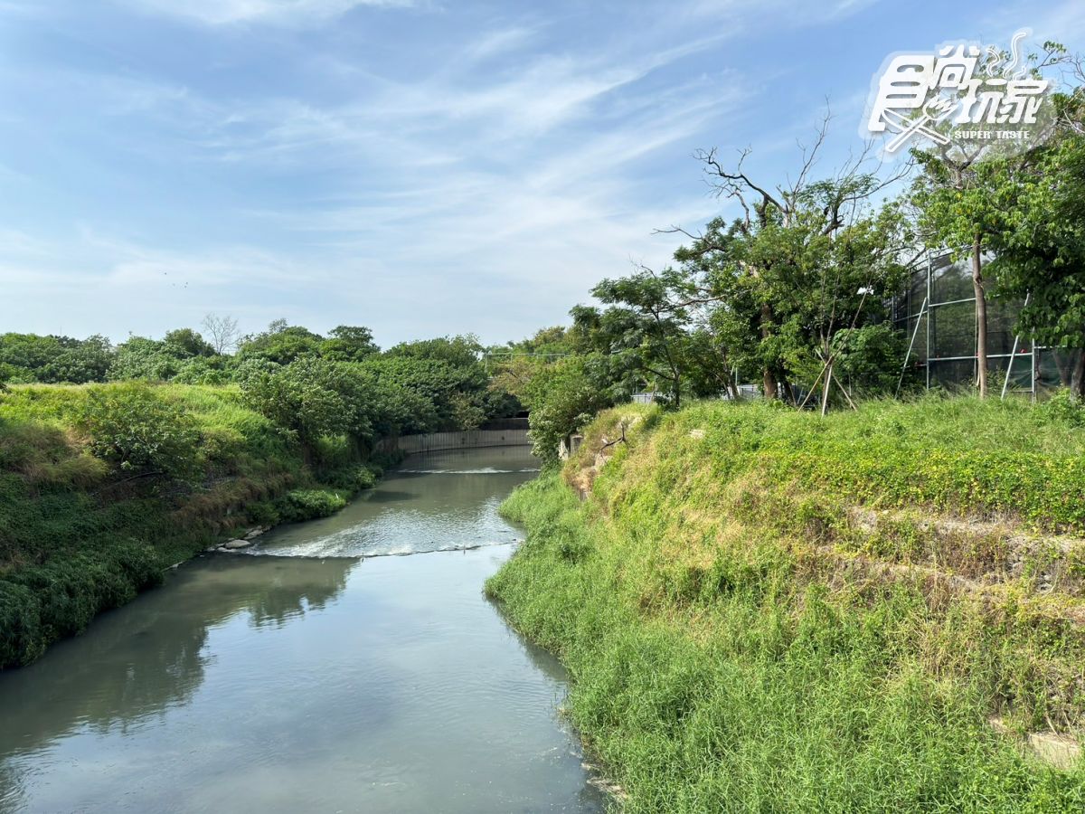 台南全新公園首度開放！原始祕境「哈赫拿爾森林」藏身市區，豐富生態探索