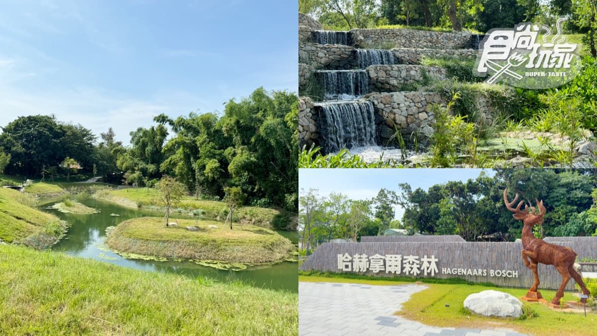 台南全新公園首度開放！原始祕境「哈赫拿爾森林」藏身市區，豐富生態探索