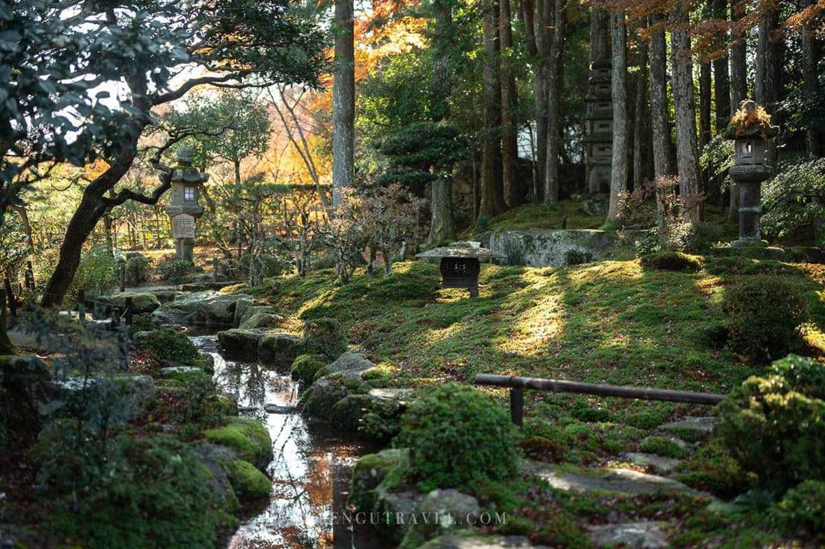 賞楓不用人擠人！滋賀隱藏景點「平價版琉璃光院」，門票69元紅葉倒影拍到飽