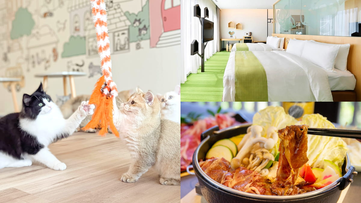 一泊四食每人４千有找！住智能飯店爽抽萬元住宿券，再衝台北擼貓新地標