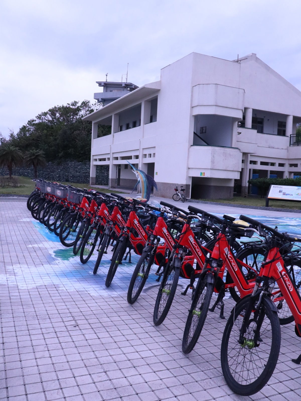 台東秋冬跳島這樣玩！騎電輔車探訪小鎮、去綠島潛水只要１小時