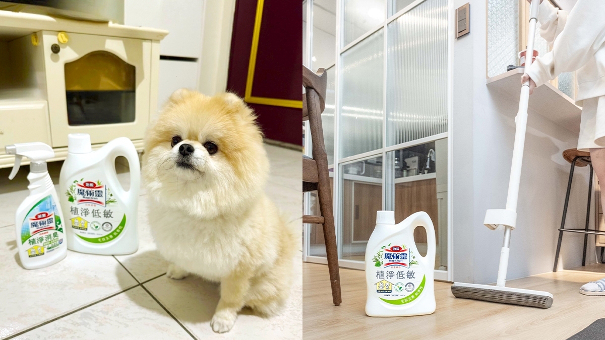 多代同堂、毛孩小窩、獨自居住，清潔有術！魔術靈輕鬆把家變成喜歡的地方