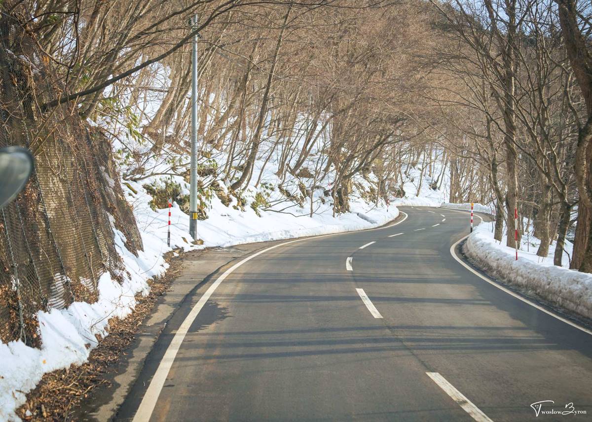 必看「冬花火」！青森最美雪祭時間公布，奇幻「雪屋酒吧」飲料杯喝完可吃掉