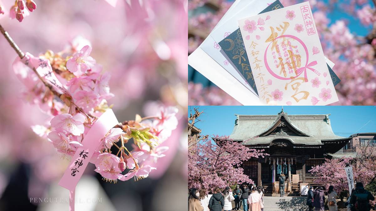 東京賞櫻祕境！「絕美神社」粉色緞帶與櫻花齊飛，蕾絲御守、櫻花朱印必收藏