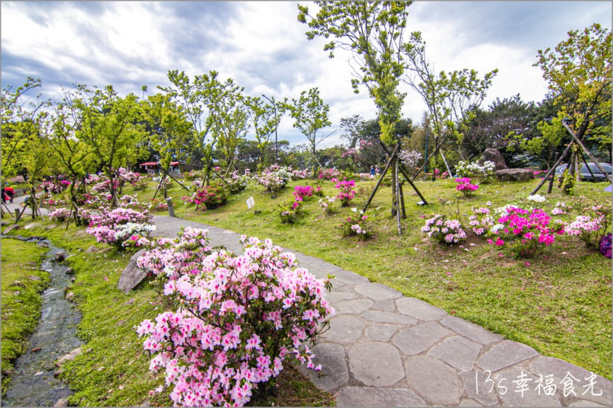 一年四季都有花！「2025陽明山花季」開花情報、賞花地圖，陽明山一日遊推薦