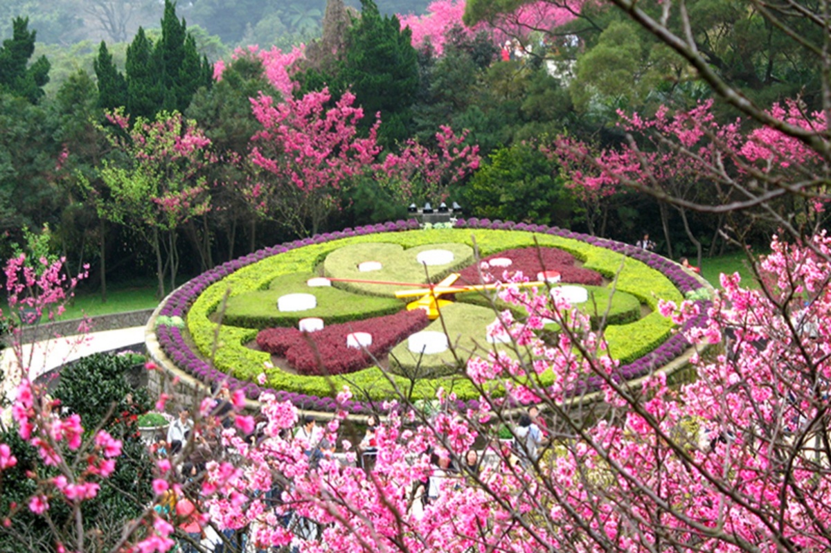 一年四季都有花！「2025陽明山花季」開花情報、賞花地圖，陽明山一日遊推薦