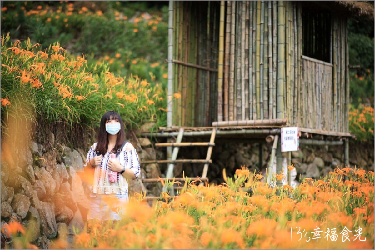 一年四季都有花！「2025陽明山花季」開花情報、賞花地圖，陽明山一日遊推薦