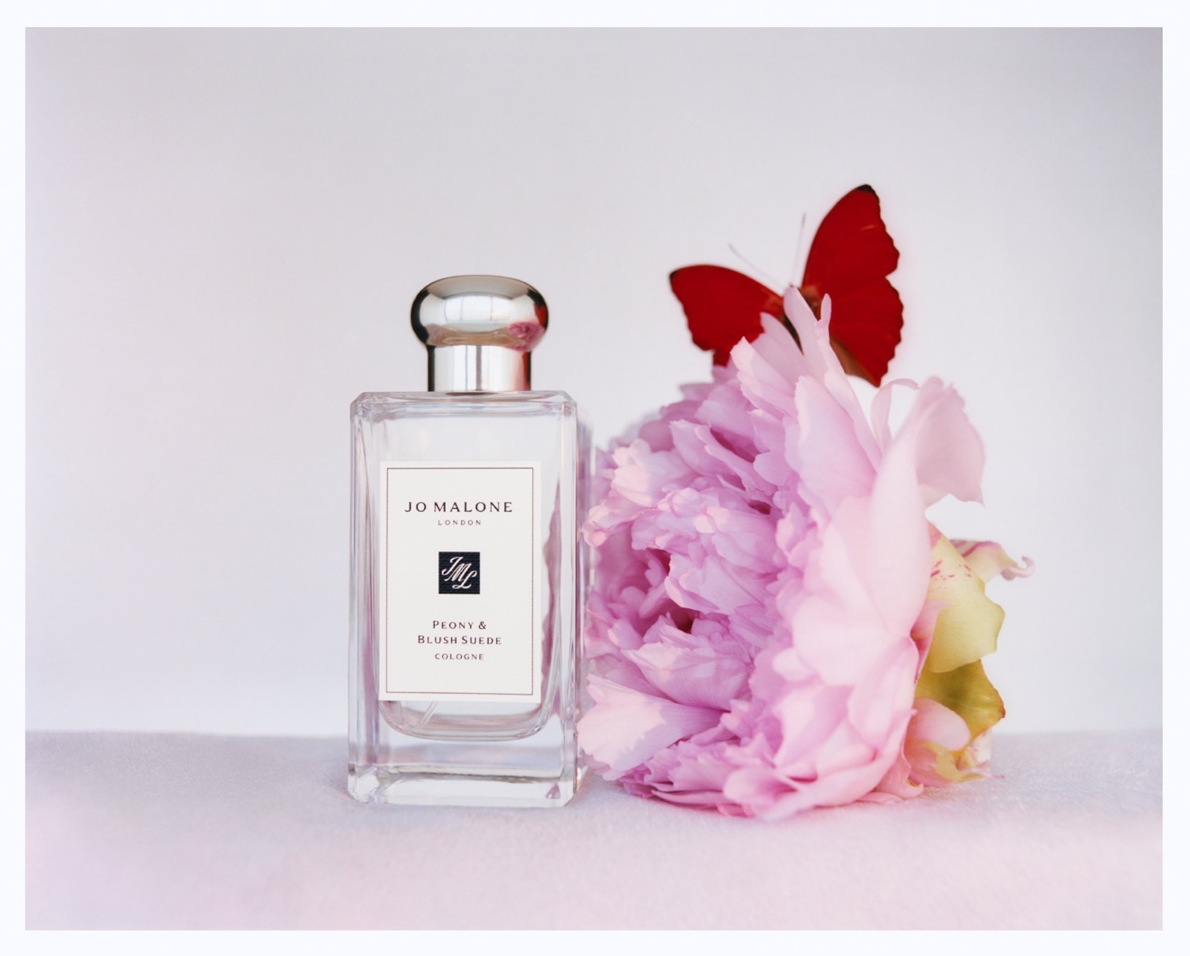 Jo Malone London情人節限量塔伊夫玫瑰芳醇香水,浪漫雋永的愛情特調香氣
