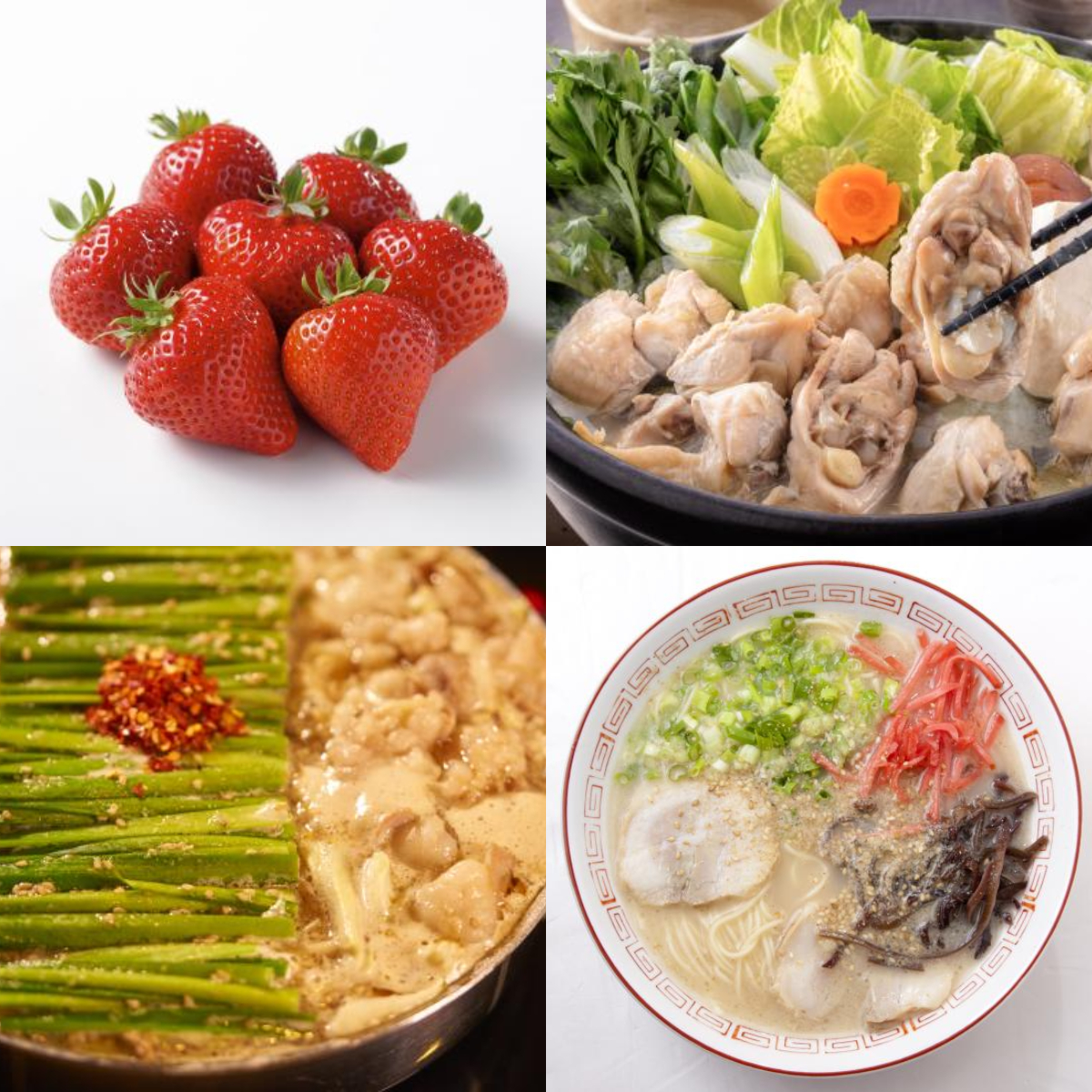 福岡自由行懶人福音!最新觀光巴士一次解決吃喝玩樂,多種旅遊行程玩不膩 福岡自由行懶人福音!最新觀光巴士一次解決吃喝玩樂,多種旅遊行程玩不膩