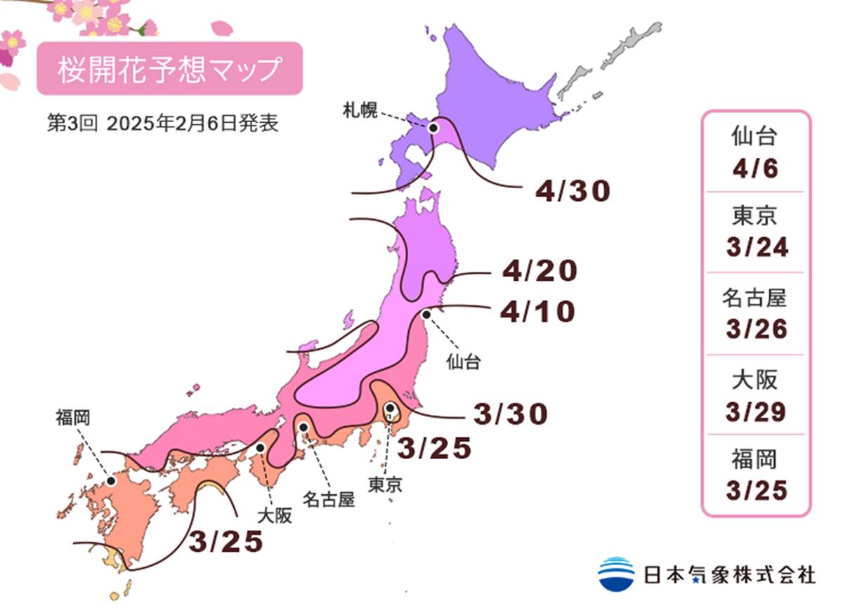 2025日本賞櫻攻略！最新櫻花時間預測，東京、京都、北海道12賞櫻景點推薦