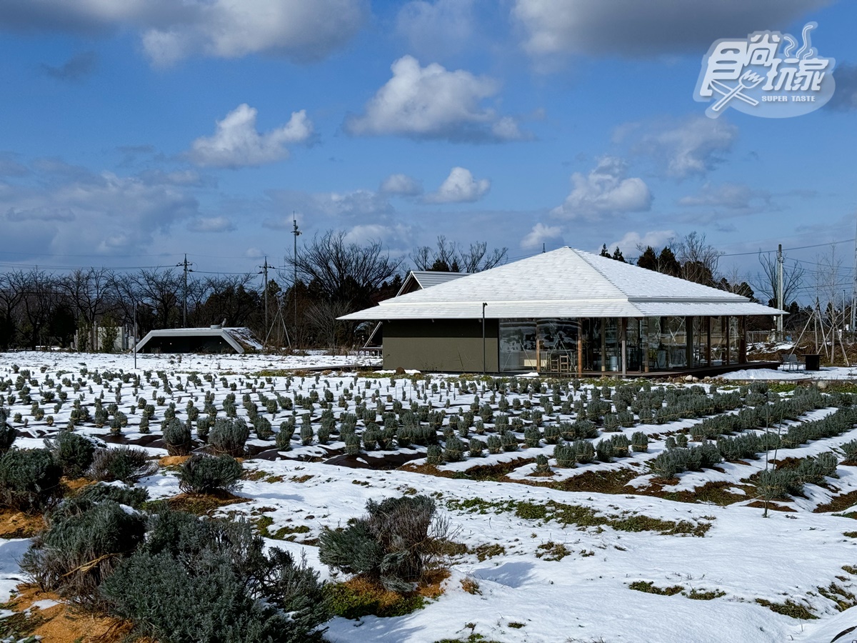 富山縣美食輕旅行２天１夜攻略！海鮮市場爽嗑紅雪蟹、小威尼斯漫步拍美照