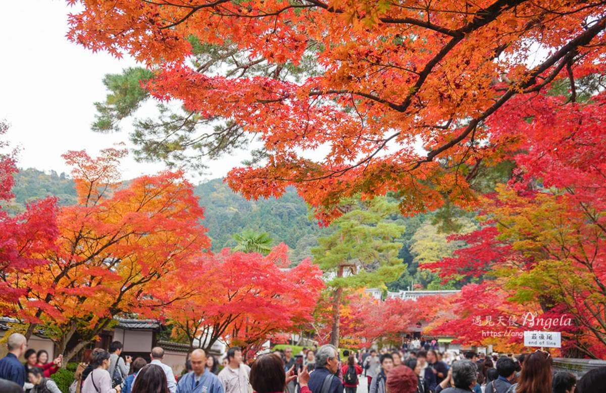 2025京都必去景點！自由行、一日遊Top 21，交通路線、美食住宿攻略