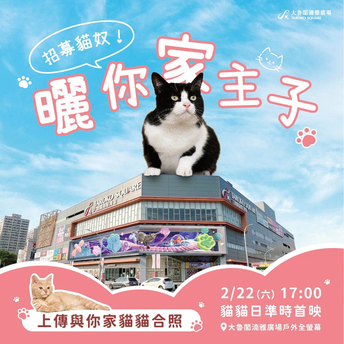 巨萌「虎斑貓」要來了!全台最大裸視3D螢幕「這天」登場,50公尺巨幕超震撼 巨萌「虎斑貓」要來了!全台最大裸視3D螢幕「這天」登場,50公尺巨幕超震撼