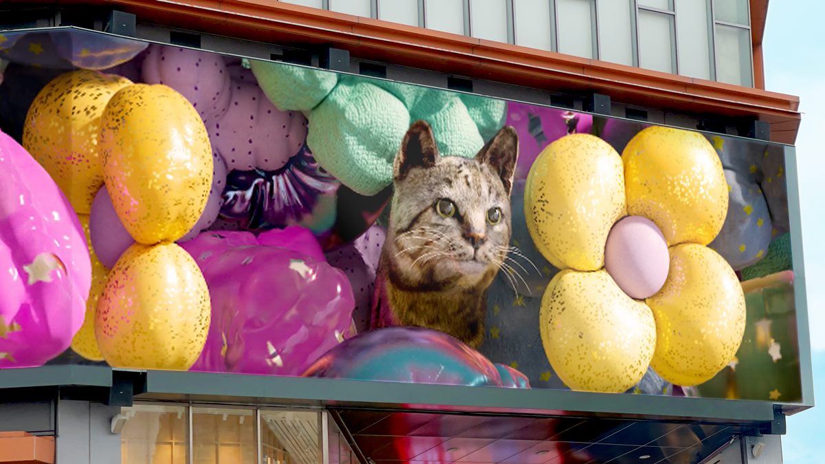 巨萌「虎斑貓」要來了!全台最大裸視3D螢幕「這天」登場,50公尺巨幕超震撼 巨萌「虎斑貓」要來了!全台最大裸視3D螢幕「這天」登場,50公尺巨幕超震撼