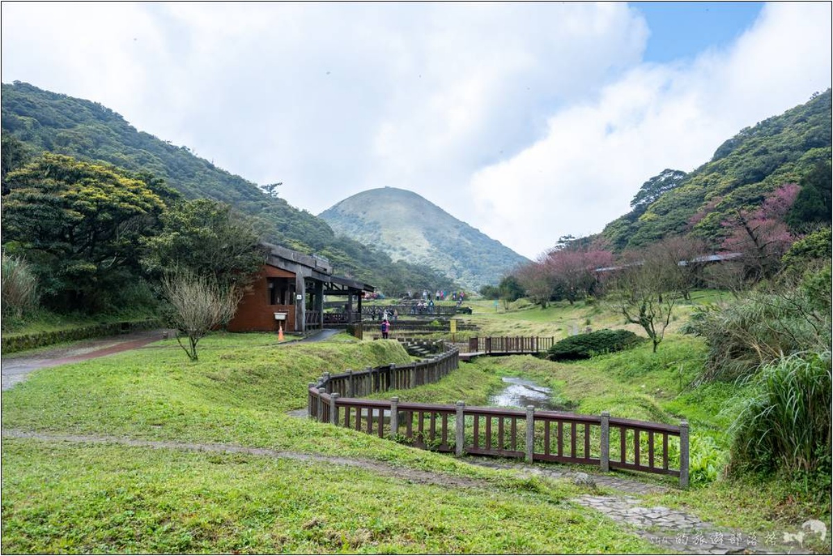 愛情之輪、漂浮星空超美！2025竹子湖海芋季登場：一日遊、限定活動＋景點推薦