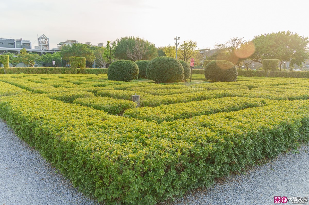 3/14情人節免費入園！全台最大「台北玫瑰展」登場，美拍世界各地800種玫瑰