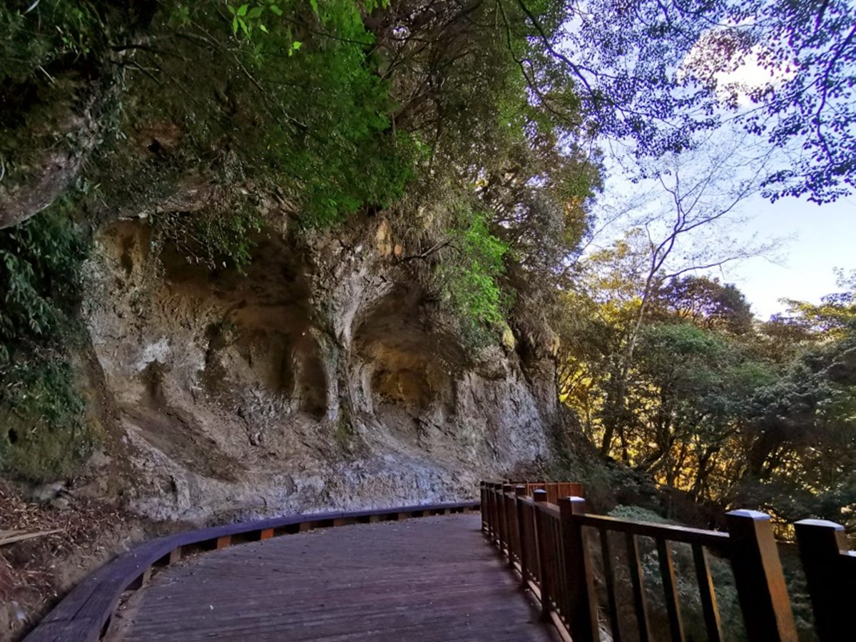 「杉林溪森林生態渡假園區」遊玩攻略：門票、花季情報、周邊景點