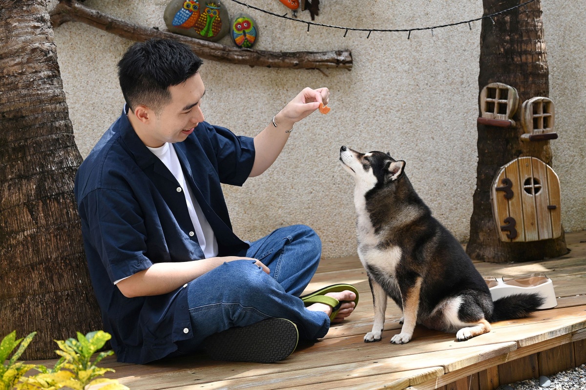 帶著毛小孩一起出遊！入住送千元乾杯零食、毛孩備品一應俱全，訂房高鐵享78折