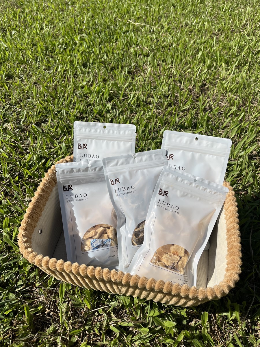 高雄「毛孩市集」週末免費逛!人氣餐車美食、寵物用品集合,體驗活動一次看 高雄「毛孩市集」週末免費逛!人氣餐車美食、寵物用品集合,體驗活動一次看