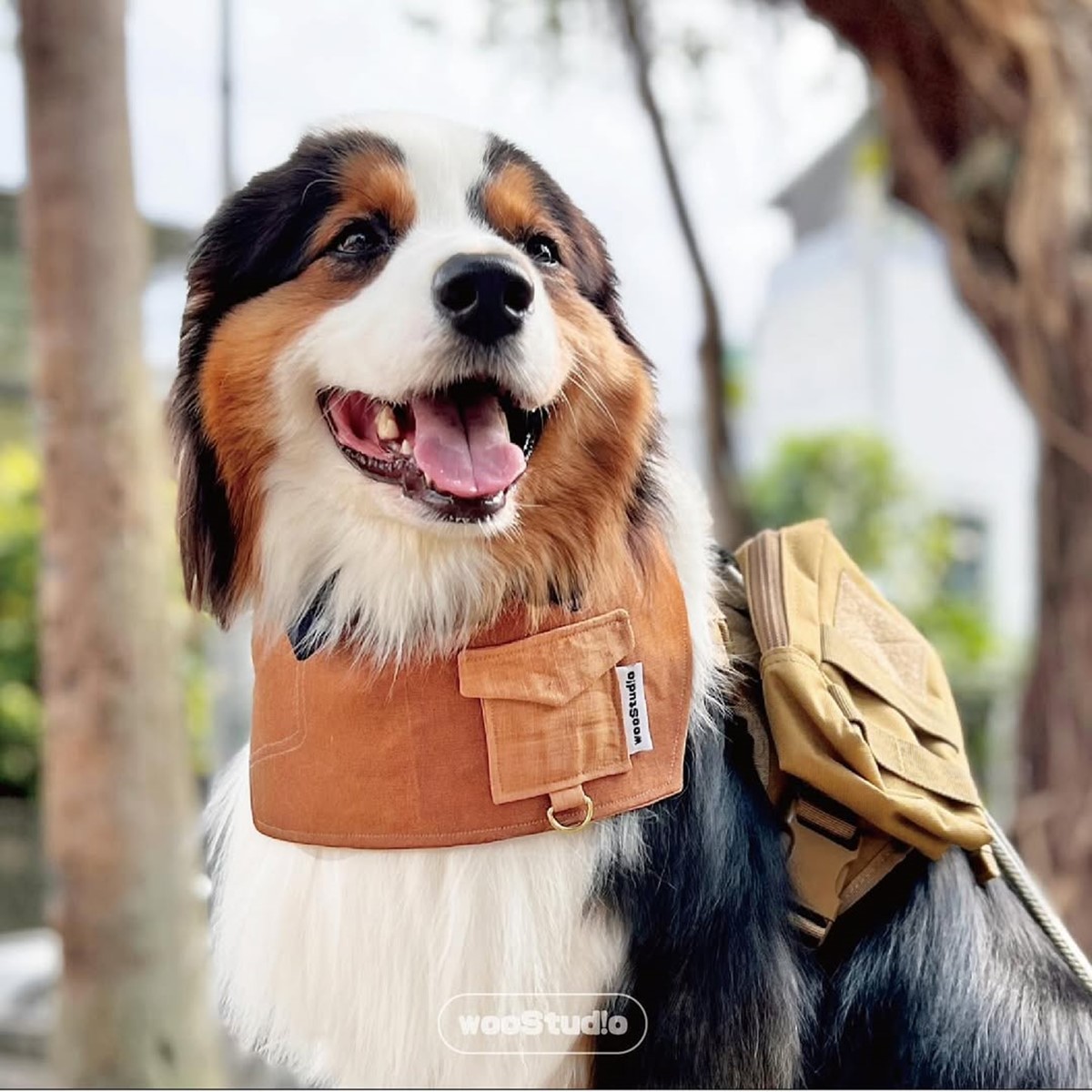 高雄「毛孩市集」週末免費逛!人氣餐車美食、寵物用品集合,體驗活動一次看 高雄「毛孩市集」週末免費逛!人氣餐車美食、寵物用品集合,體驗活動一次看