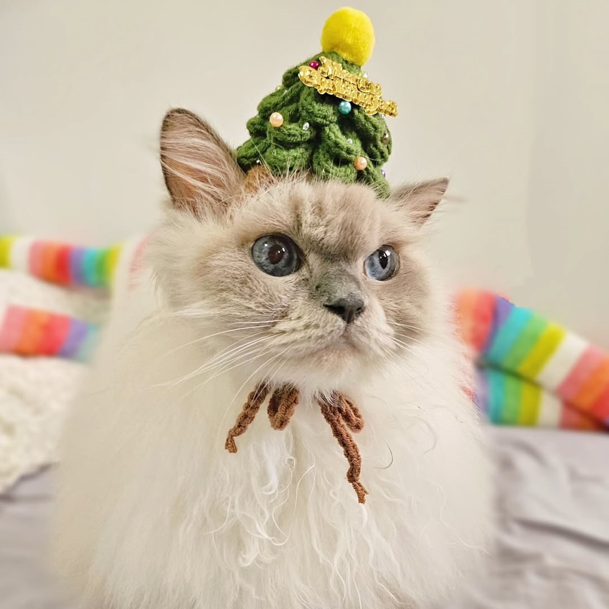 高雄「毛孩市集」週末免費逛!人氣餐車美食、寵物用品集合,體驗活動一次看 高雄「毛孩市集」週末免費逛!人氣餐車美食、寵物用品集合,體驗活動一次看