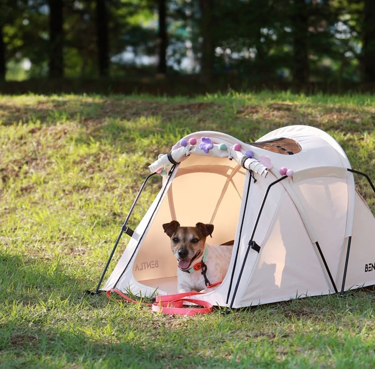 高雄「毛孩市集」週末免費逛!人氣餐車美食、寵物用品集合,體驗活動一次看 高雄「毛孩市集」週末免費逛!人氣餐車美食、寵物用品集合,體驗活動一次看