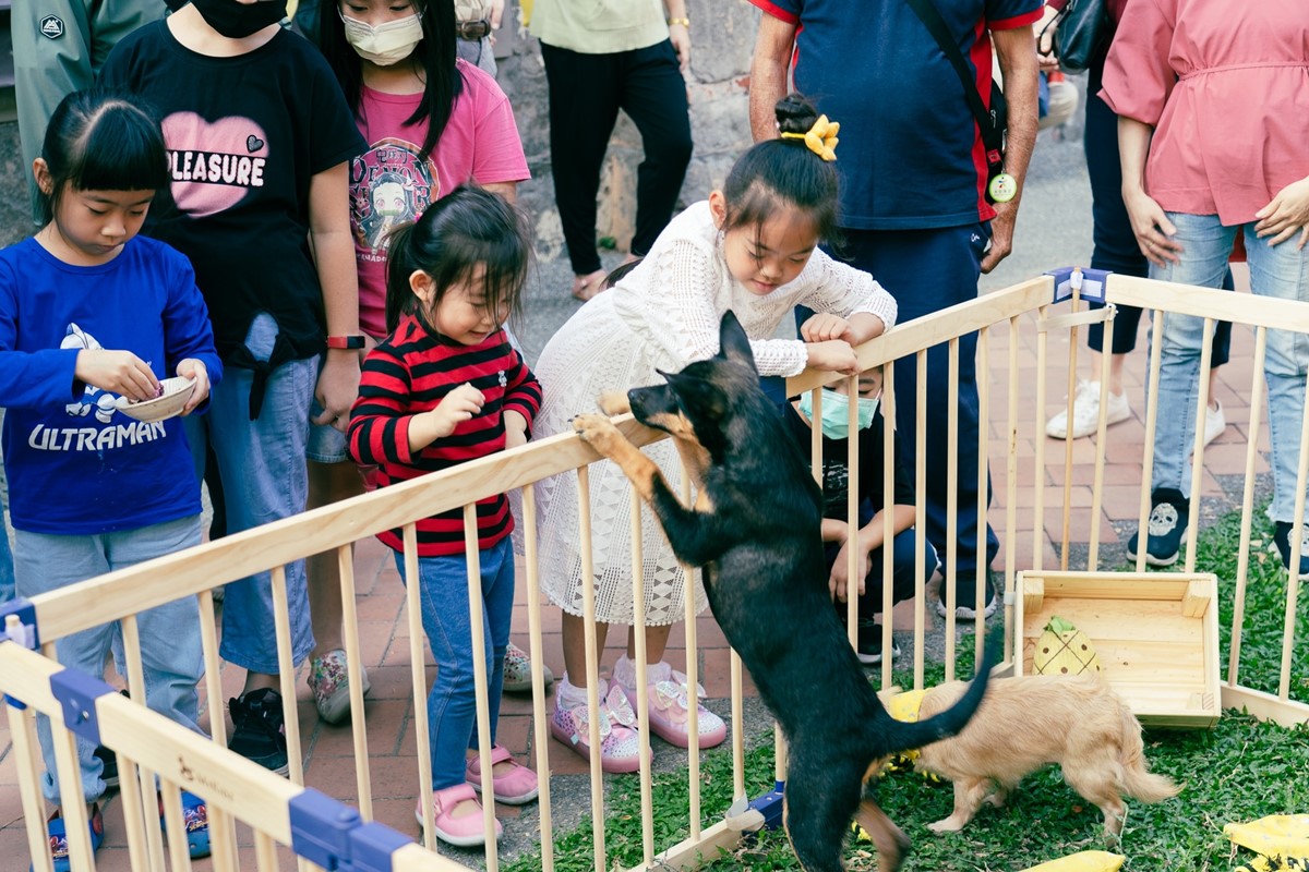 高雄「毛孩市集」週末免費逛!人氣餐車美食、寵物用品集合,體驗活動一次看 高雄「毛孩市集」週末免費逛!人氣餐車美食、寵物用品集合,體驗活動一次看