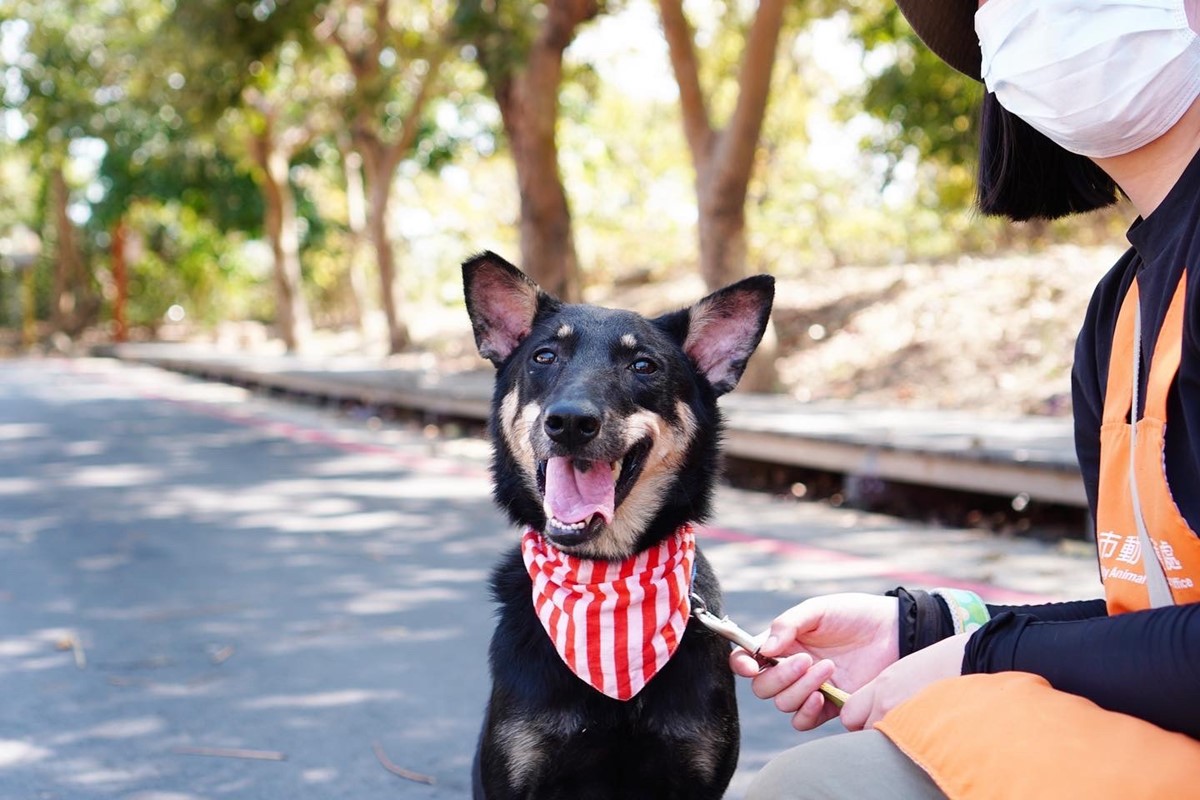 高雄「毛孩市集」週末免費逛!人氣餐車美食、寵物用品集合,體驗活動一次看 高雄「毛孩市集」週末免費逛!人氣餐車美食、寵物用品集合,體驗活動一次看