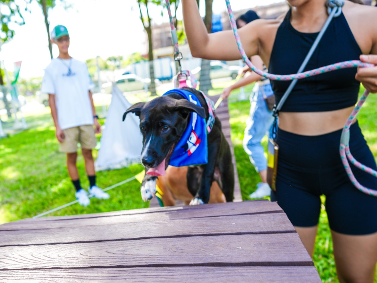 高雄「毛孩市集」週末免費逛!人氣餐車美食、寵物用品集合,體驗活動一次看 高雄「毛孩市集」週末免費逛!人氣餐車美食、寵物用品集合,體驗活動一次看
