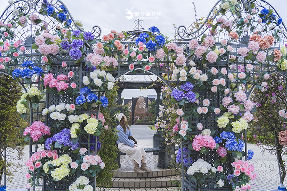中部最美「許願藤花園」在這!超過百米紫色花廊超夢幻,連假兒童免費入園 中部最美「許願藤花園」在這!超過百米紫色花廊超夢幻,連假兒童免費入園