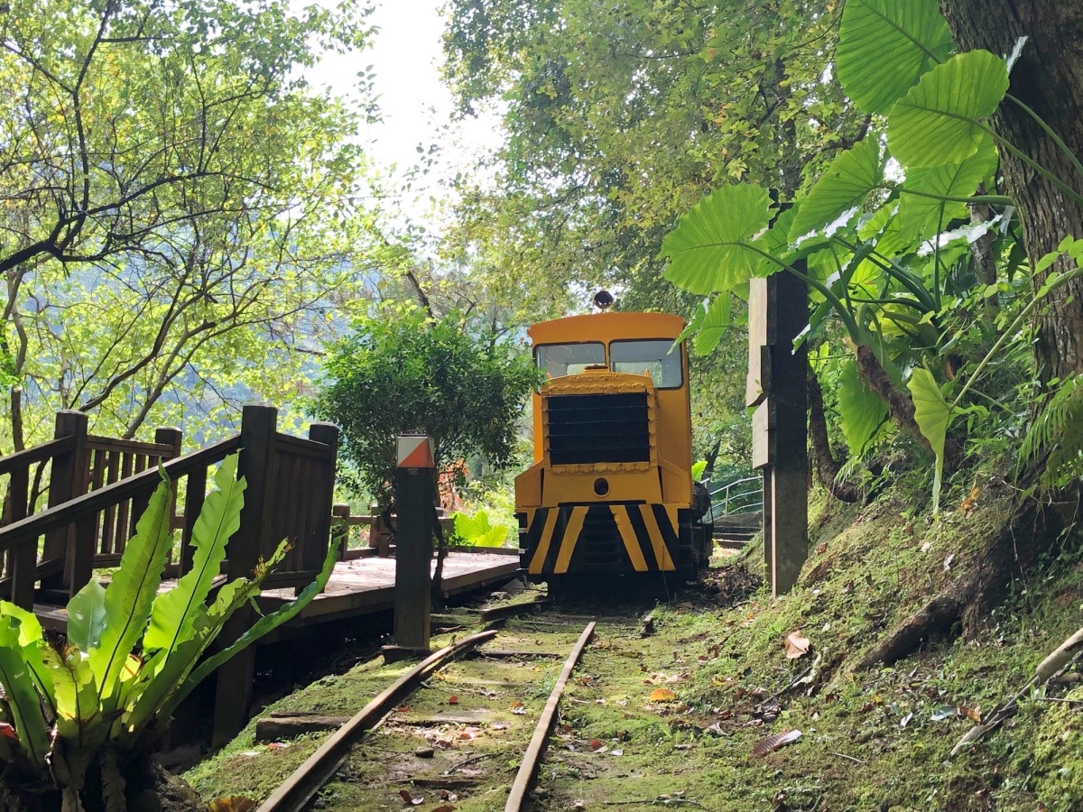 12歲以下免門票!全台最強「國家森林遊樂區」TOP13,免費搭小火車遊山林 12歲以下免門票!全台最強「國家森林遊樂區」TOP13,免費搭小火車遊山林