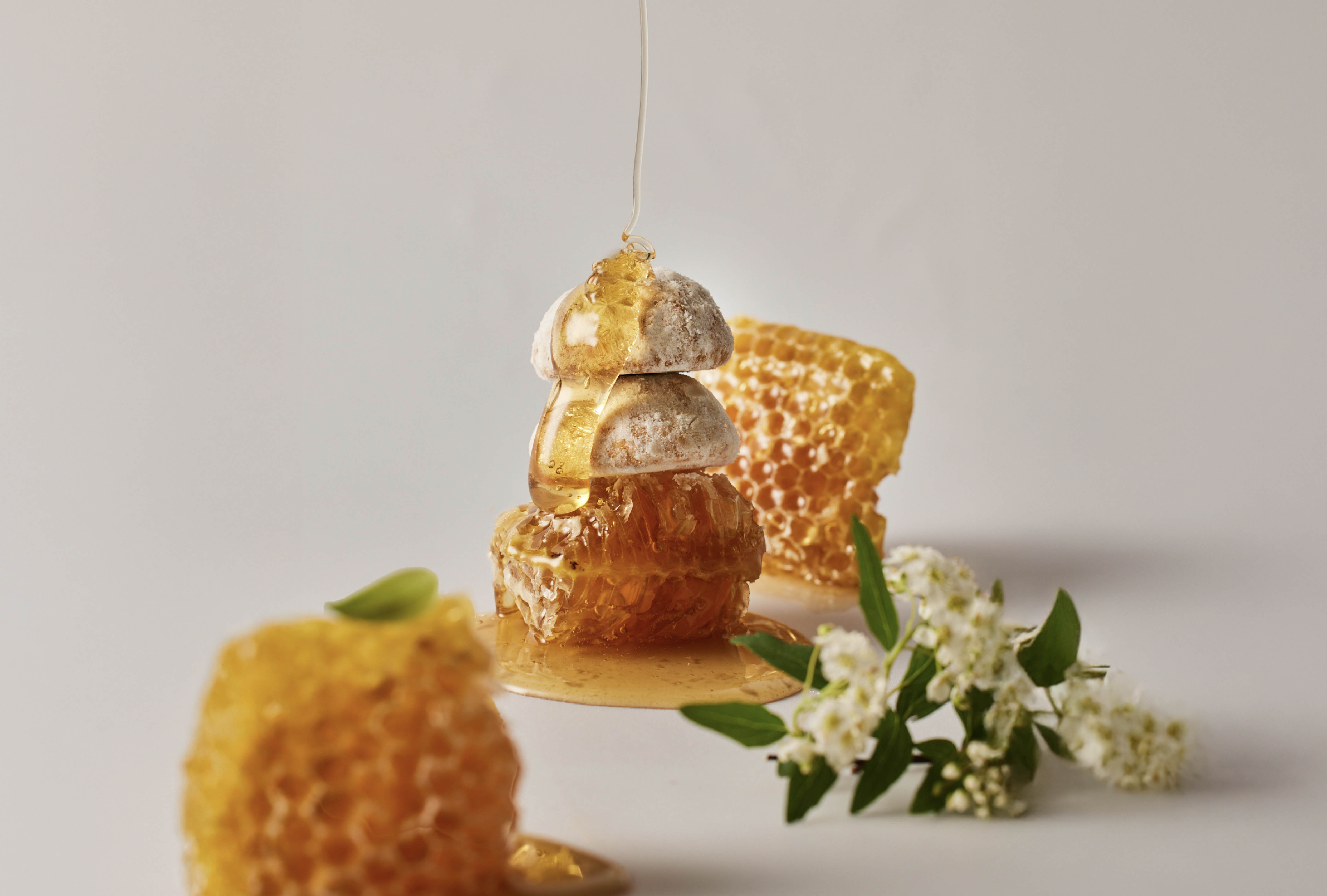 露出「微笑」免費送餅乾！詩特莉生日慶「這２天」開跑，超Q雪球餅乾限量吃