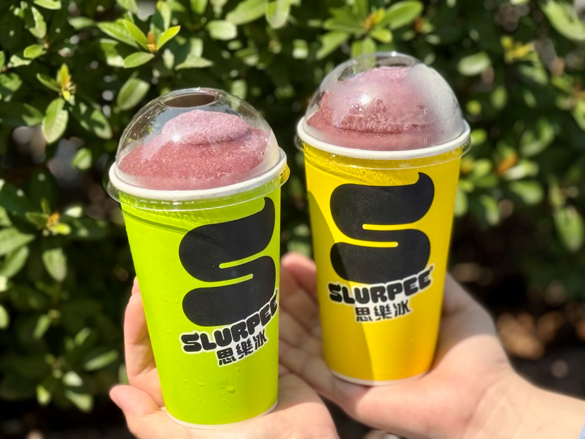 7-11獨賣「仙人掌思樂冰」!咖啡、霜淇淋買一送一,得正奶茶、草莓生乳包新品 7-11獨賣「仙人掌思樂冰」!咖啡、霜淇淋買一送一,得正奶茶、草莓生乳包新品