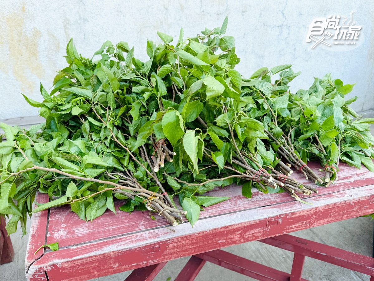 50元零距離餵小鹿!大坵島「台版小奈良」200隻梅花鹿,還能順遊「龍貓隧道」 50元零距離餵小鹿!大坵島「台版小奈良」200隻梅花鹿,還能順遊「龍貓隧道」