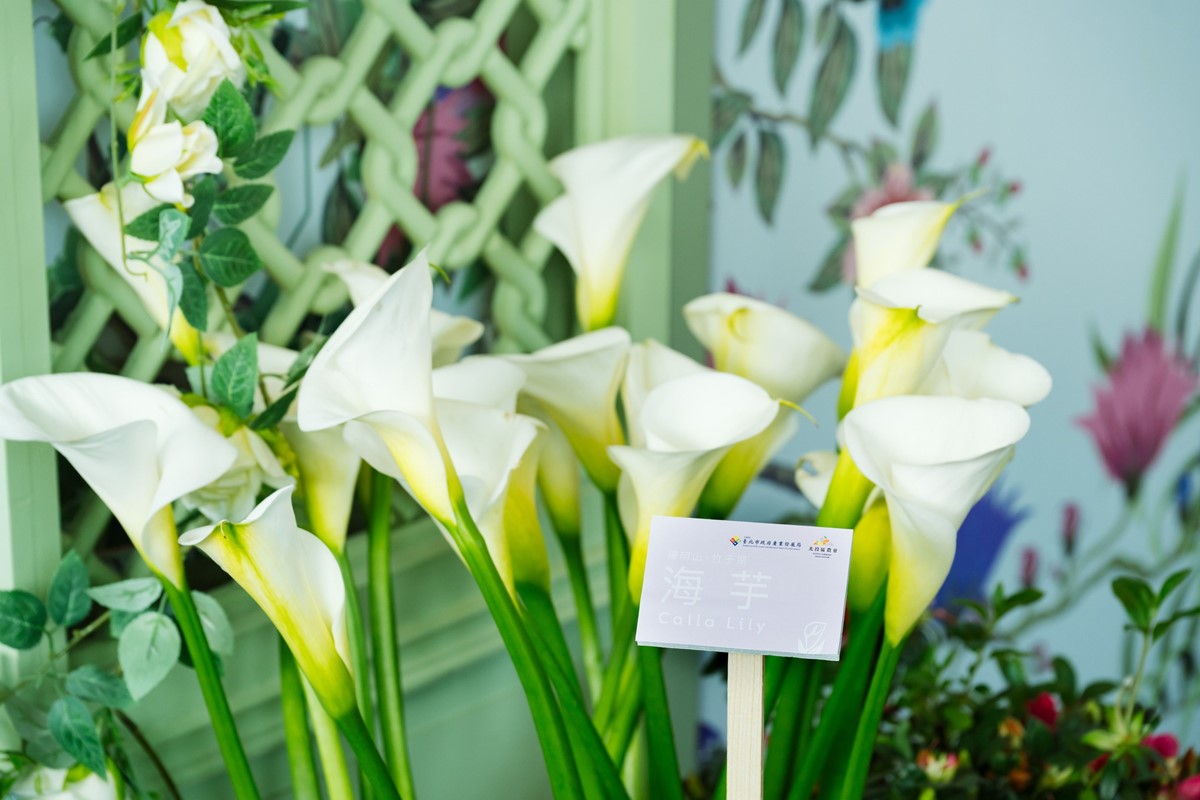 超萌哆啦A夢出沒!台北101觀景台「2人同行1人免費」,頂樓還有秘境花園 超萌哆啦A夢出沒!台北101觀景台「2人同行1人免費」,頂樓還有秘境花園