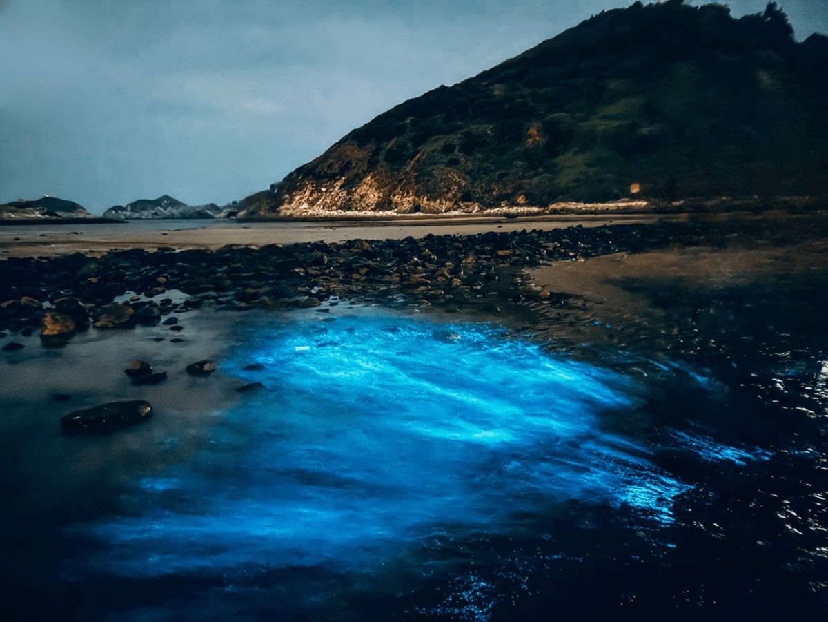 「藍眼淚」季節限定夢幻美景:馬祖藍眼淚秘境TOP10推薦 「藍眼淚」季節限定夢幻美景:馬祖藍眼淚秘境TOP10推薦