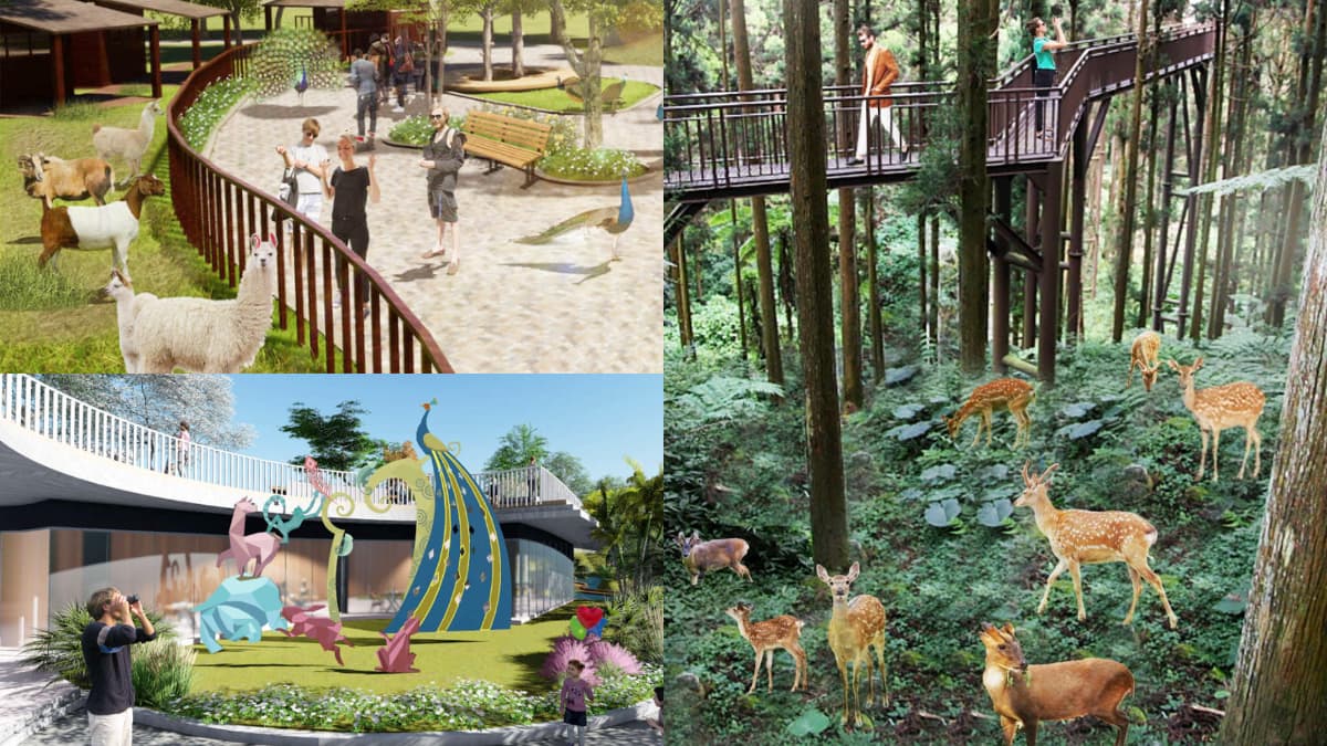 高雄「第２座動物園」拚年底開幕！可愛動物區、叢林體驗設施，４亮點搶先看